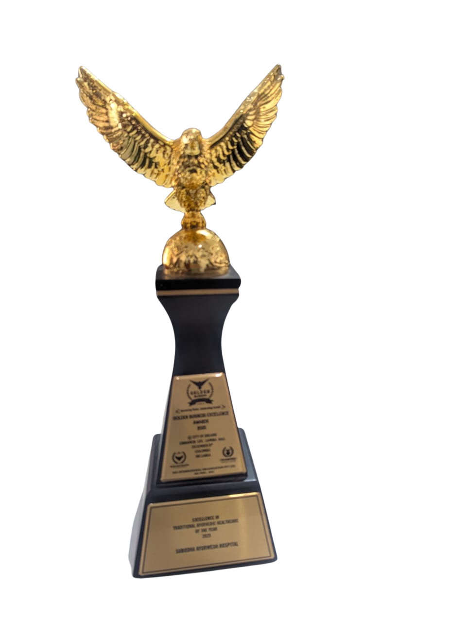 Excellence in Traditional Ayurvedic Healthcare of the Year 2025